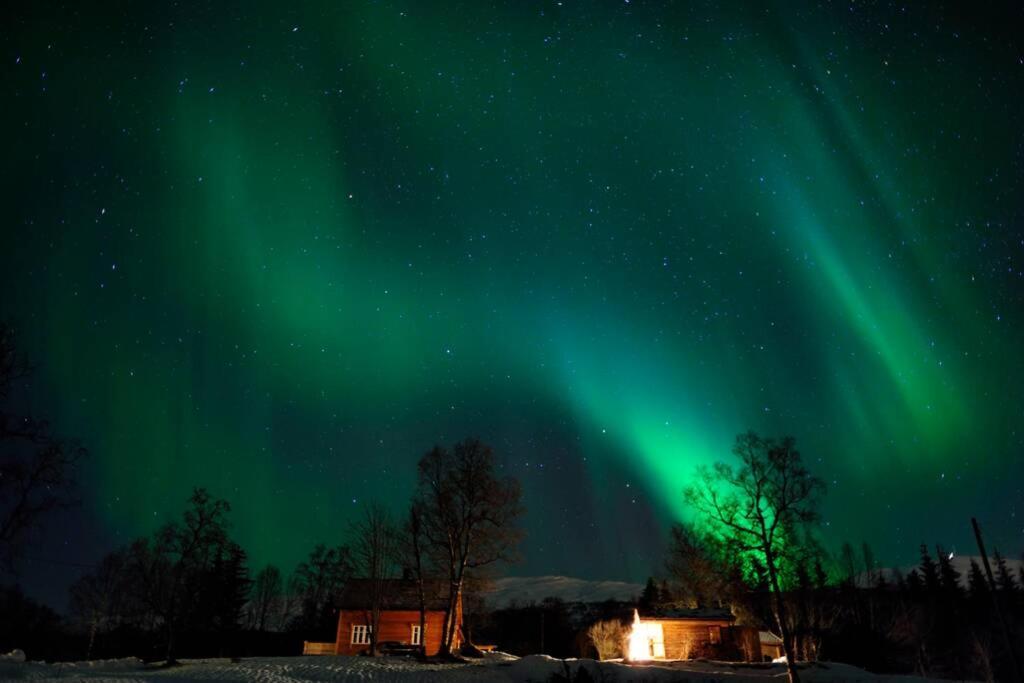 100 Years Old Norwegian Log House In Tromsoヴィラ エクステリア 写真