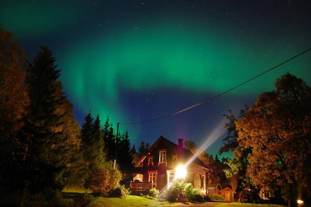 100 Years Old Norwegian Log House In Tromsoヴィラ エクステリア 写真
