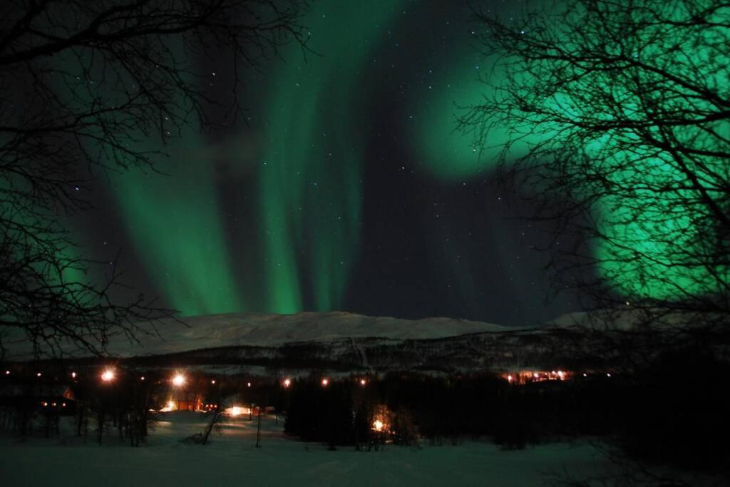 100 Years Old Norwegian Log House In Tromsoヴィラ エクステリア 写真