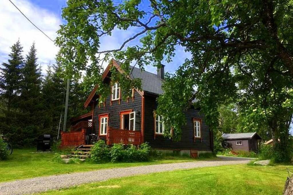 100 Years Old Norwegian Log House In Tromsoヴィラ エクステリア 写真
