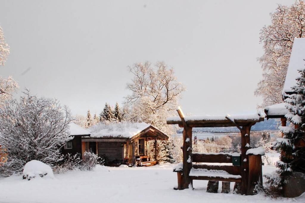 100 Years Old Norwegian Log House In Tromsoヴィラ エクステリア 写真