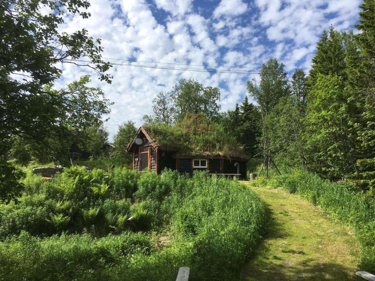 100 Years Old Norwegian Log House In Tromsoヴィラ エクステリア 写真