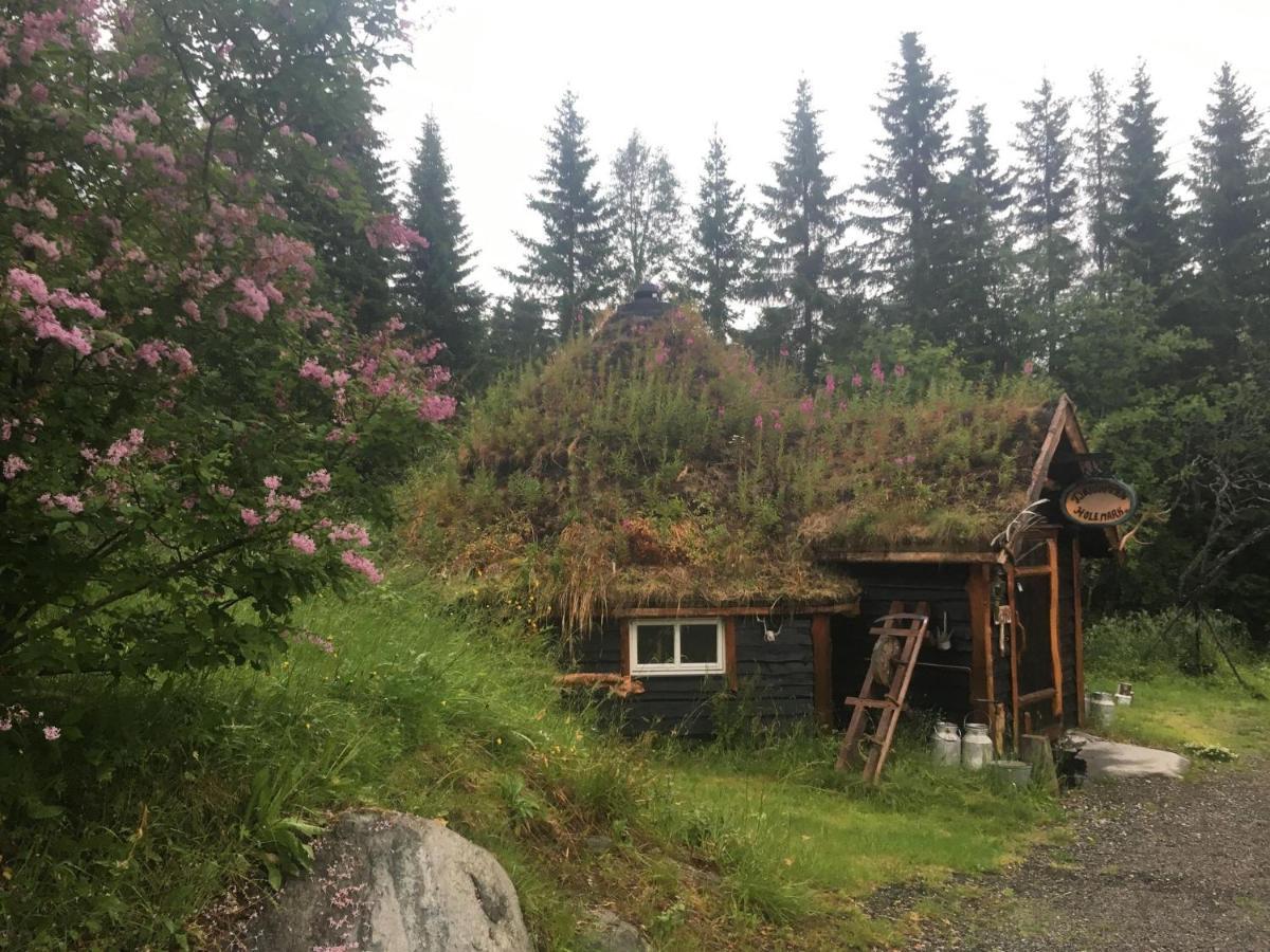 100 Years Old Norwegian Log House In Tromsoヴィラ エクステリア 写真
