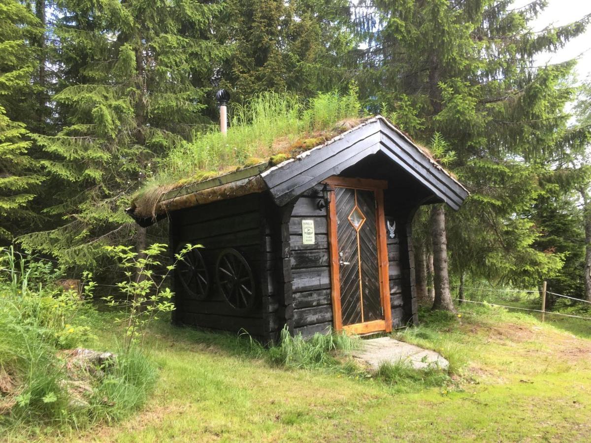 100 Years Old Norwegian Log House In Tromsoヴィラ エクステリア 写真