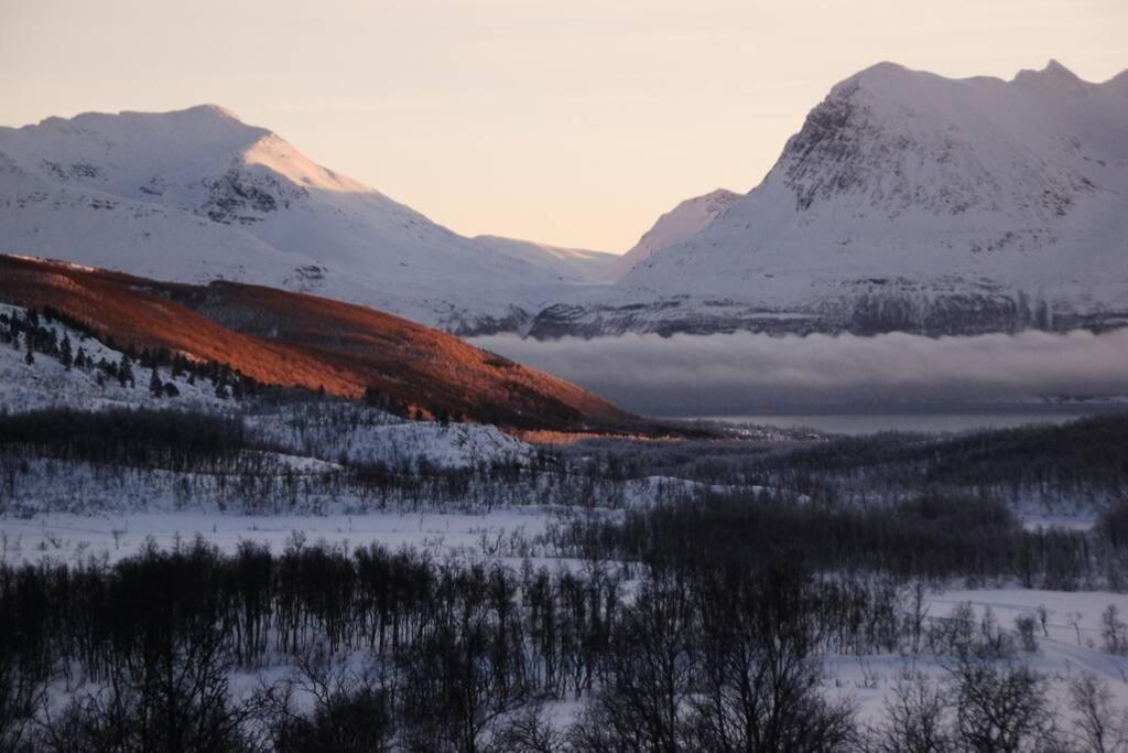 100 Years Old Norwegian Log House In Tromsoヴィラ エクステリア 写真