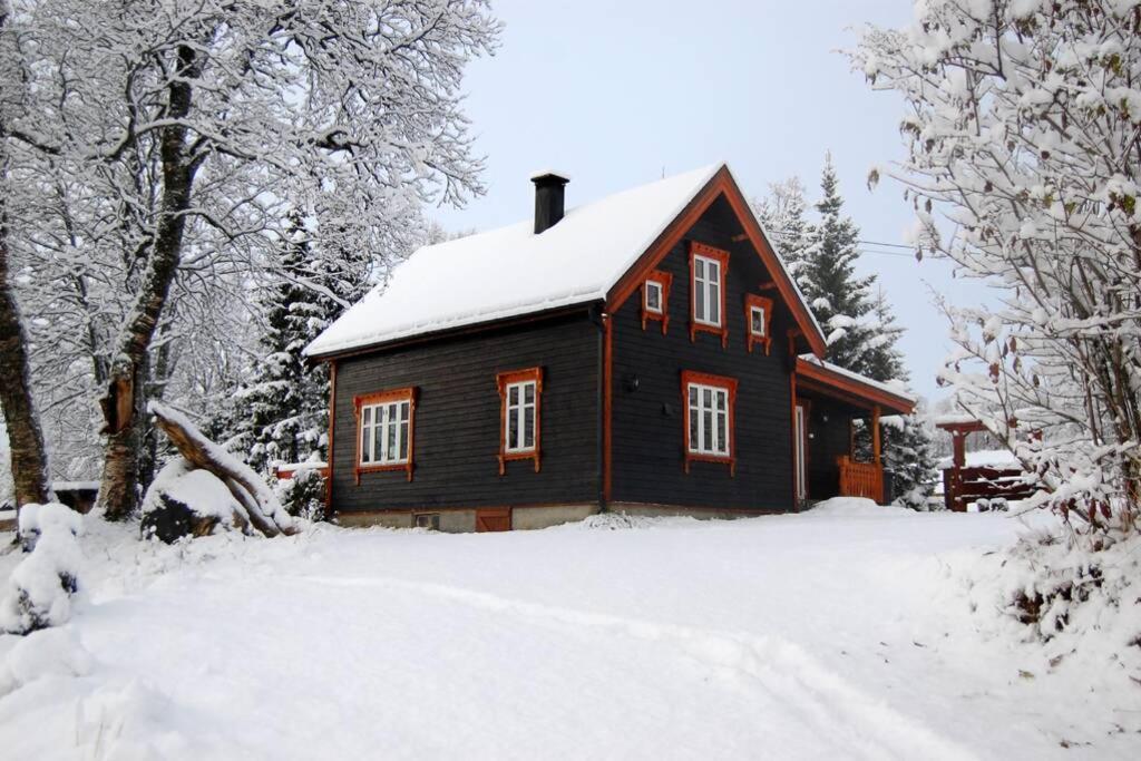 100 Years Old Norwegian Log House In Tromsoヴィラ エクステリア 写真