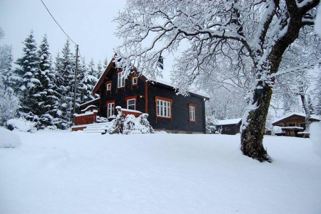100 Years Old Norwegian Log House In Tromsoヴィラ エクステリア 写真
