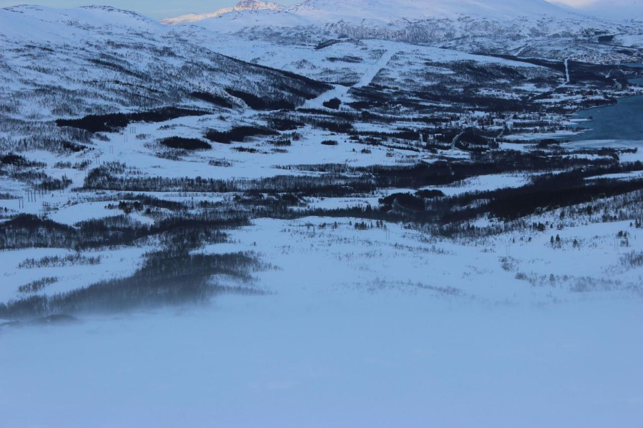 100 Years Old Norwegian Log House In Tromsoヴィラ エクステリア 写真