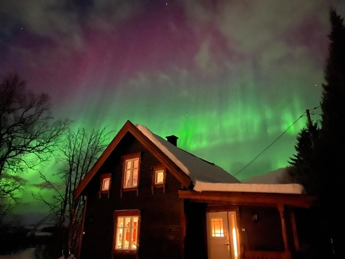 100 Years Old Norwegian Log House In Tromsoヴィラ エクステリア 写真