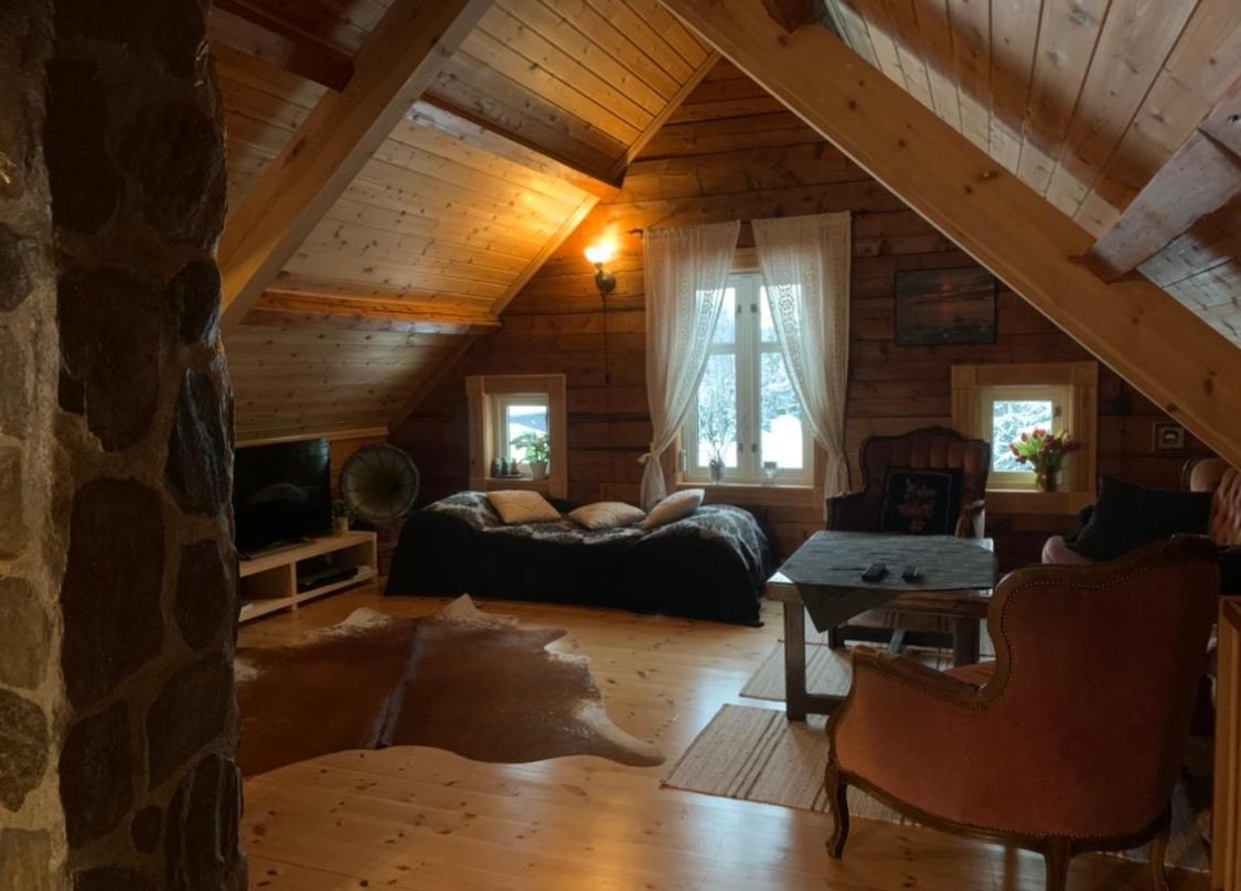 100 Years Old Norwegian Log House In Tromsoヴィラ エクステリア 写真