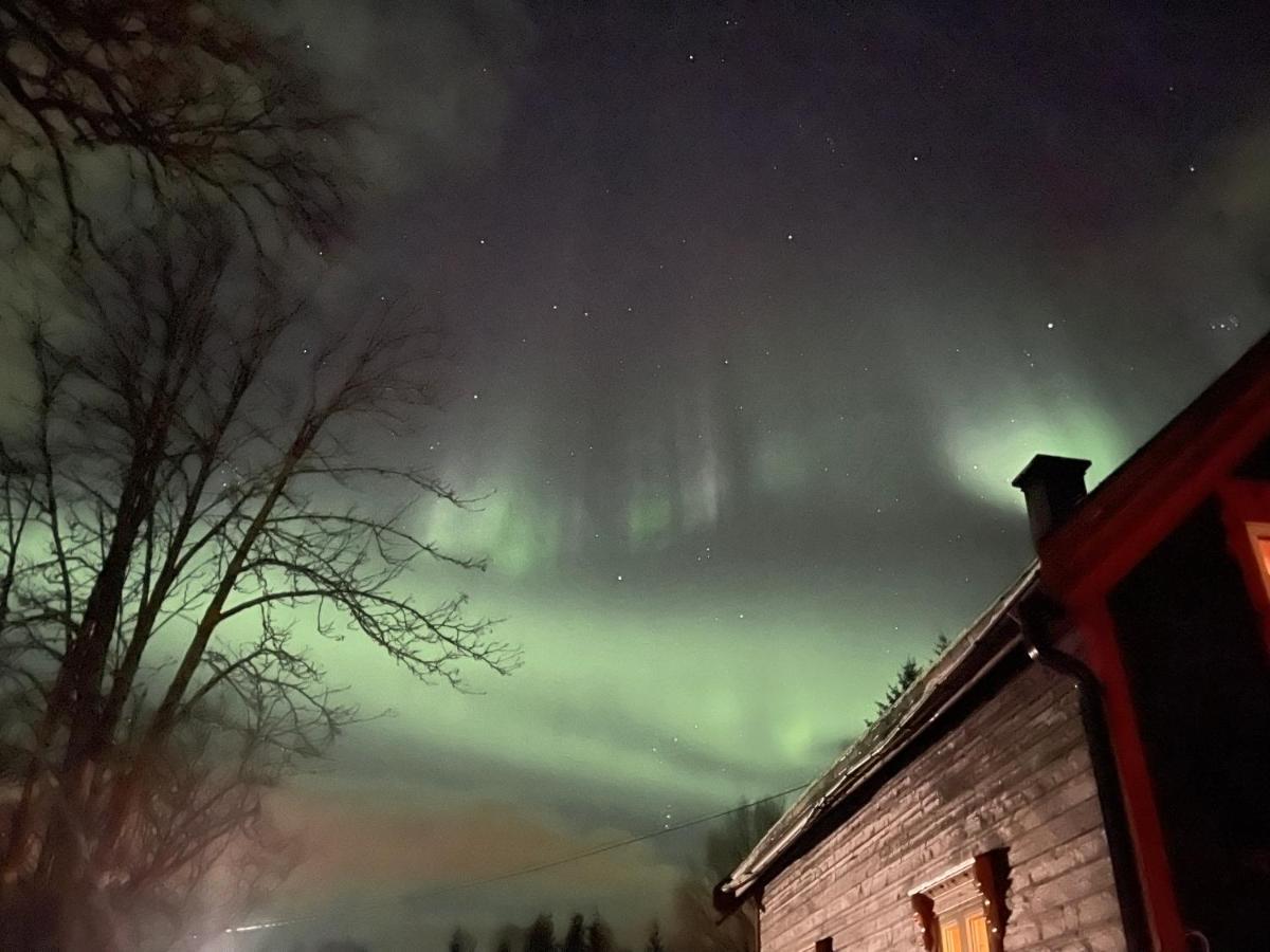 100 Years Old Norwegian Log House In Tromsoヴィラ エクステリア 写真
